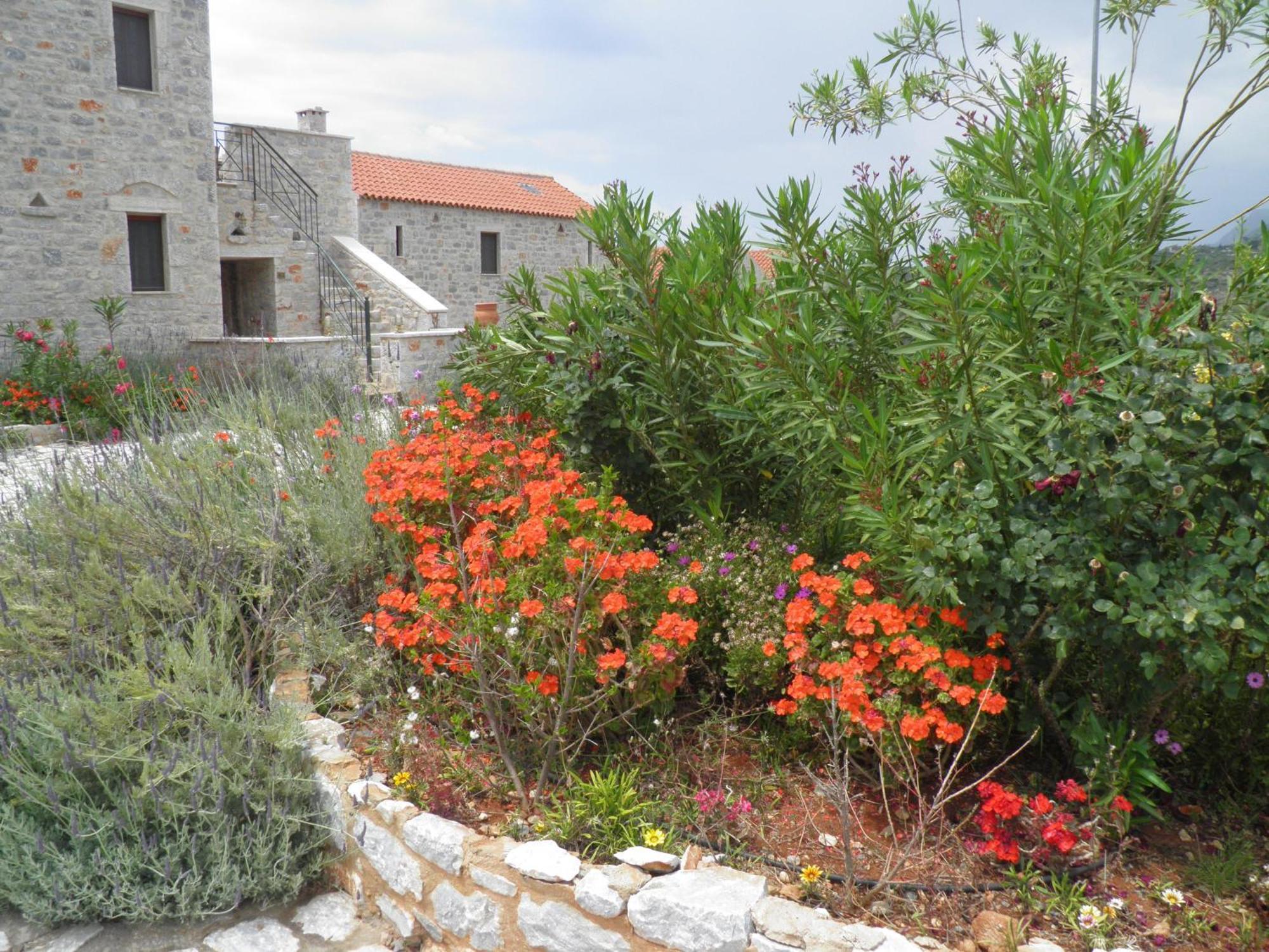 أريبوليس Althea Village المظهر الخارجي الصورة