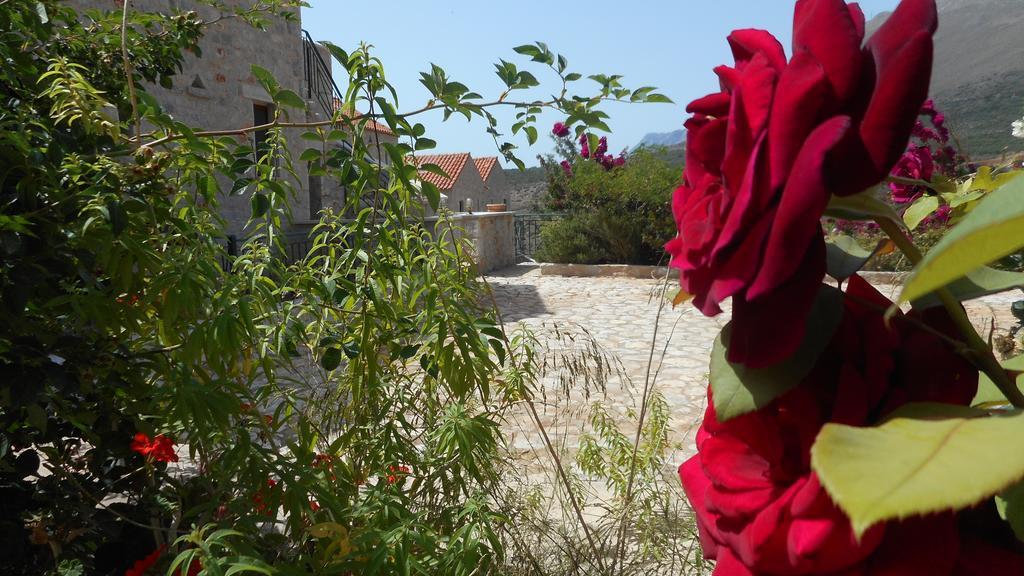 أريبوليس Althea Village المظهر الخارجي الصورة